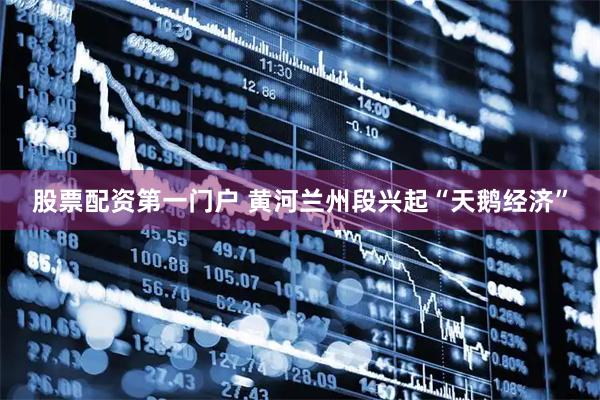 股票配资第一门户 黄河兰州段兴起“天鹅经济”
